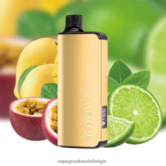 Vape Groothandel - Alibarbar Ingot 9000 wegwerpdamp passievrucht-mango-limoen 4R2F4822