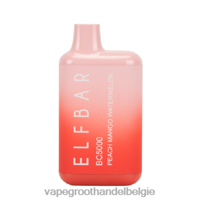 perzik-mango-watermeloen - vape groothandel inkoop 0284V304 ELFBAR BC5000