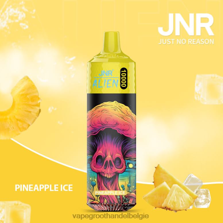 ananas ijs - elektronische sigaret zonder nicotine 0284V659 JNR ALIEN