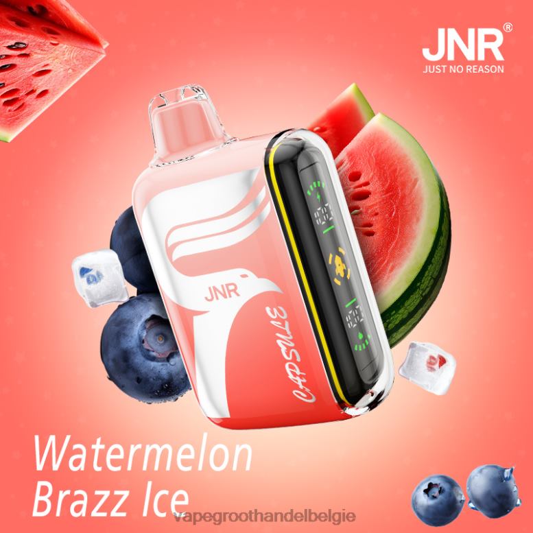 watermeloen brazz ijs